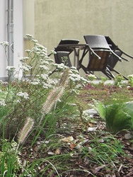 Terrassenbegrnung